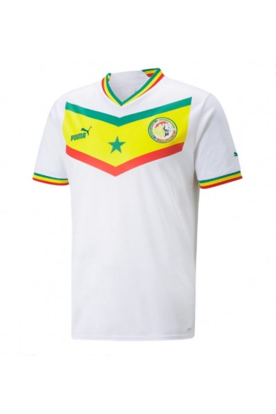 Fotbalové Dres Senegal Domácí Oblečení MS 2022 Krátký Rukáv